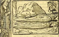 An illustration from Petri Costalij Pegma, : cum narrationibus philosophicis (1555)