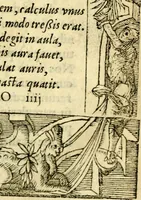 An illustration from Petri Costalij Pegma, : cum narrationibus philosophicis (1555)