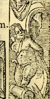 An illustration from Petri Costalij Pegma, : cum narrationibus philosophicis (1555)