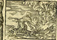 An illustration from Petri Costalij Pegma, : cum narrationibus philosophicis (1555)