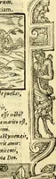 An illustration from Petri Costalij Pegma, : cum narrationibus philosophicis (1555)