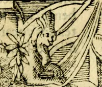An illustration from Petri Costalij Pegma, : cum narrationibus philosophicis (1555)