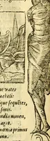 An illustration from Petri Costalij Pegma, : cum narrationibus philosophicis (1555)