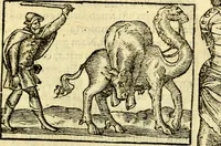 An illustration from Petri Costalij Pegma, : cum narrationibus philosophicis (1555)