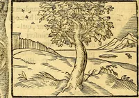 An illustration from Petri Costalij Pegma, : cum narrationibus philosophicis (1555)