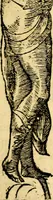 An illustration from Petri Costalij Pegma, : cum narrationibus philosophicis (1555)