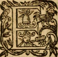 Picture 15 of 72 from Petri Francisci Phrygii ... Commentarii in historias epidemicas Hippocratis : in tres partes digesti .. (1644), leaf 107