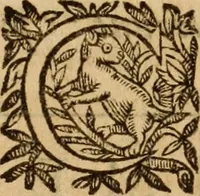 Picture 18 of 72 from Petri Francisci Phrygii ... Commentarii in historias epidemicas Hippocratis : in tres partes digesti .. (1644), leaf 130