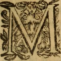 An illustration from Petri Francisci Phrygii ... Commentarii in historias epidemicas Hippocratis : in tres partes digesti .. (1644)