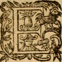 Picture 21 of 72 from Petri Francisci Phrygii ... Commentarii in historias epidemicas Hippocratis : in tres partes digesti .. (1644), leaf 157