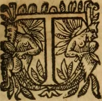 An illustration from Petri Francisci Phrygii ... Commentarii in historias epidemicas Hippocratis : in tres partes digesti .. (1644)