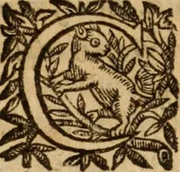 An illustration from Petri Francisci Phrygii ... Commentarii in historias epidemicas Hippocratis : in tres partes digesti .. (1644)