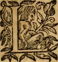 Picture 6 of 72 from Petri Francisci Phrygii ... Commentarii in historias epidemicas Hippocratis : in tres partes digesti .. (1644), leaf 18