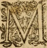 An illustration from Petri Francisci Phrygii ... Commentarii in historias epidemicas Hippocratis : in tres partes digesti .. (1644)