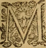 An illustration from Petri Francisci Phrygii ... Commentarii in historias epidemicas Hippocratis : in tres partes digesti .. (1644)