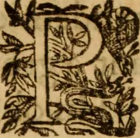 An illustration from Petri Francisci Phrygii ... Commentarii in historias epidemicas Hippocratis : in tres partes digesti .. (1644)