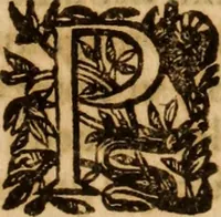 An illustration from Petri Francisci Phrygii ... Commentarii in historias epidemicas Hippocratis : in tres partes digesti .. (1644)