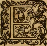 Picture 36 of 72 from Petri Francisci Phrygii ... Commentarii in historias epidemicas Hippocratis : in tres partes digesti .. (1644), leaf 248
