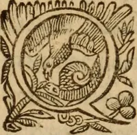 Picture 38 of 72 from Petri Francisci Phrygii ... Commentarii in historias epidemicas Hippocratis : in tres partes digesti .. (1644), leaf 268