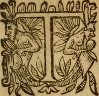 Picture 40 of 72 from Petri Francisci Phrygii ... Commentarii in historias epidemicas Hippocratis : in tres partes digesti .. (1644), leaf 308