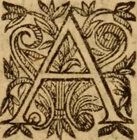Picture 42 of 72 from Petri Francisci Phrygii ... Commentarii in historias epidemicas Hippocratis : in tres partes digesti .. (1644), leaf 346