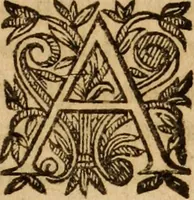 An illustration from Petri Francisci Phrygii ... Commentarii in historias epidemicas Hippocratis : in tres partes digesti .. (1644)