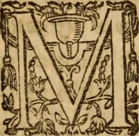 An illustration from Petri Francisci Phrygii ... Commentarii in historias epidemicas Hippocratis : in tres partes digesti .. (1644)