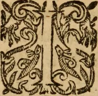 An illustration from Petri Francisci Phrygii ... Commentarii in historias epidemicas Hippocratis : in tres partes digesti .. (1644)