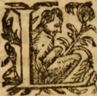 An illustration from Petri Francisci Phrygii ... Commentarii in historias epidemicas Hippocratis : in tres partes digesti .. (1644)
