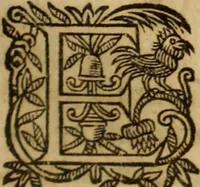 Picture 57 of 72 from Petri Francisci Phrygii ... Commentarii in historias epidemicas Hippocratis : in tres partes digesti .. (1644), leaf 460
