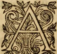 An illustration from Petri Francisci Phrygii ... Commentarii in historias epidemicas Hippocratis : in tres partes digesti .. (1644)
