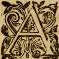 Picture 60 of 72 from Petri Francisci Phrygii ... Commentarii in historias epidemicas Hippocratis : in tres partes digesti .. (1644), leaf 469