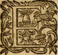Picture 61 of 72 from Petri Francisci Phrygii ... Commentarii in historias epidemicas Hippocratis : in tres partes digesti .. (1644), leaf 493