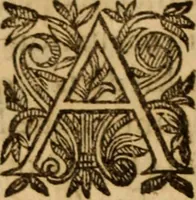 An illustration from Petri Francisci Phrygii ... Commentarii in historias epidemicas Hippocratis : in tres partes digesti .. (1644)