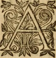 An illustration from Petri Francisci Phrygii ... Commentarii in historias epidemicas Hippocratis : in tres partes digesti .. (1644)