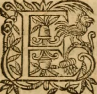 An illustration from Petri Francisci Phrygii ... Commentarii in historias epidemicas Hippocratis : in tres partes digesti .. (1644)