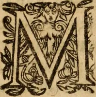 Picture 70 of 72 from Petri Francisci Phrygii ... Commentarii in historias epidemicas Hippocratis : in tres partes digesti .. (1644), leaf 556