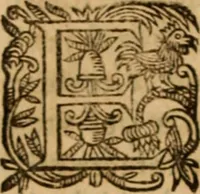 Picture 71 of 72 from Petri Francisci Phrygii ... Commentarii in historias epidemicas Hippocratis : in tres partes digesti .. (1644), leaf 565