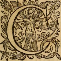 An illustration from Petri Francisci Phrygii ... Commentarii in historias epidemicas Hippocratis : in tres partes digesti .. (1644)