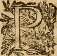 An illustration from Petri Francisci Phrygii ... Commentarii in historias epidemicas Hippocratis : in tres partes digesti .. (1644)
