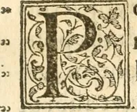 An illustration from Petri Gyllii De topographia Constantinopoleos, et de illivs antiqvitatibvs libri qvatvor (1562)