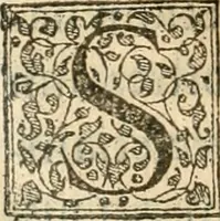 An illustration from Petri Gyllii De topographia Constantinopoleos, et de illivs antiqvitatibvs libri qvatvor (1562)