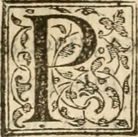 An illustration from Petri Gyllii De topographia Constantinopoleos, et de illivs antiqvitatibvs libri qvatvor (1562)
