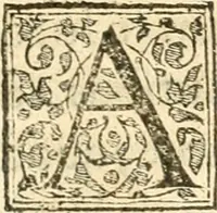 An illustration from Petri Gyllii De topographia Constantinopoleos, et de illivs antiqvitatibvs libri qvatvor (1562)