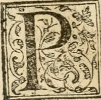 An illustration from Petri Gyllii De topographia Constantinopoleos, et de illivs antiqvitatibvs libri qvatvor (1562)