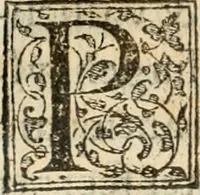 Picture 33 of 46 from Petri Gyllii De topographia Constantinopoleos, et de illivs antiqvitatibvs libri qvatvor (1562), leaf 441
