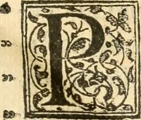 An illustration from Petri Gyllii De topographia Constantinopoleos, et de illivs antiqvitatibvs libri qvatvor (1562)
