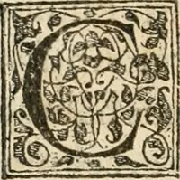 An illustration from Petri Gyllii De topographia Constantinopoleos, et de illivs antiqvitatibvs libri qvatvor (1562)