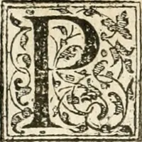 An illustration from Petri Gyllii De topographia Constantinopoleos, et de illivs antiqvitatibvs libri qvatvor (1562)