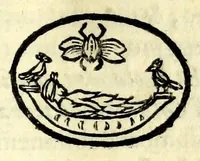 An illustration from Petri La Sena I.C. Neap. Cleombrotus, siue, De ijs, qui in aquis pereunt, philologica dissertatio (1637)